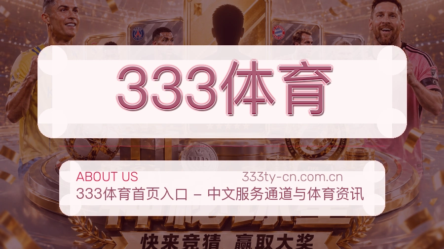 关于333体育团队